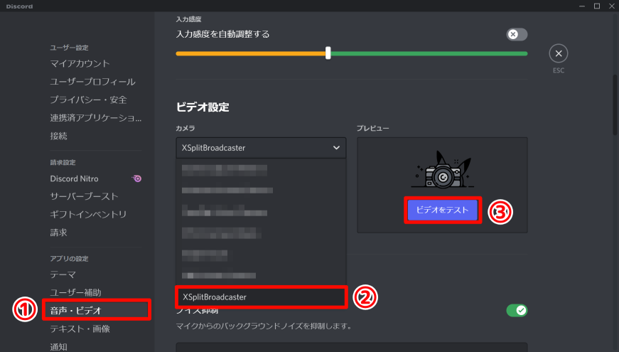 Discord のビデオの設定